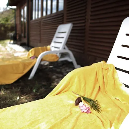 Vrclub - Ridente Hotel
